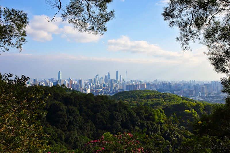 Guangdong, Guangzhou, modern housing, view