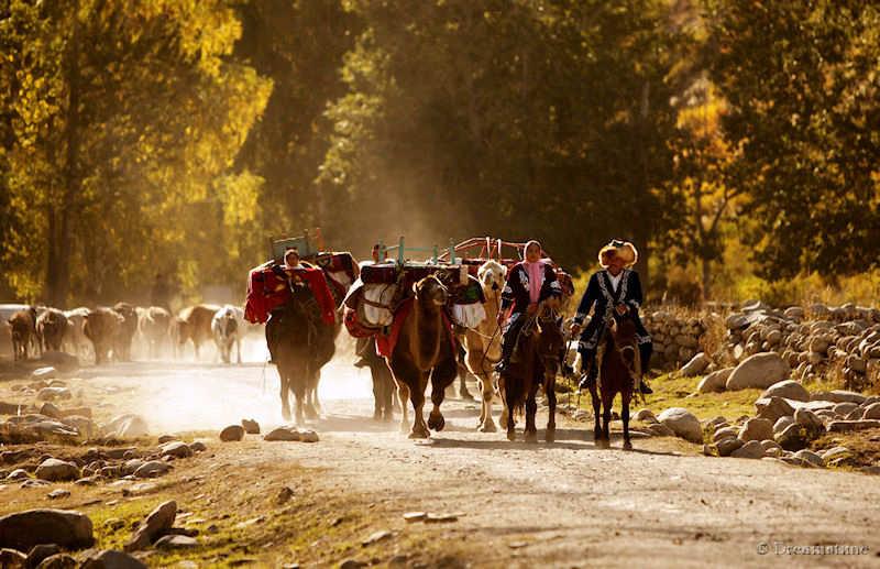 Xinjiang, kazakh, camel, people