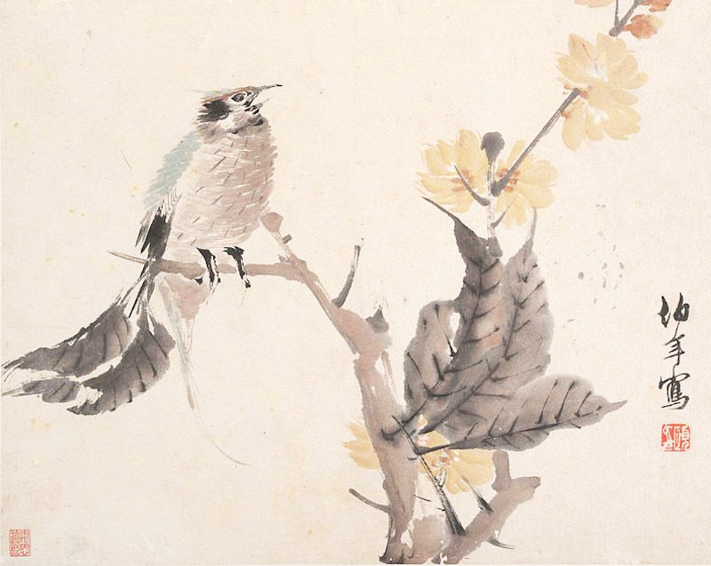 artist, bird, Ren Bonian
