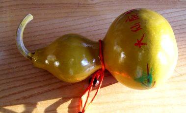 bottle gourd,  feng shui