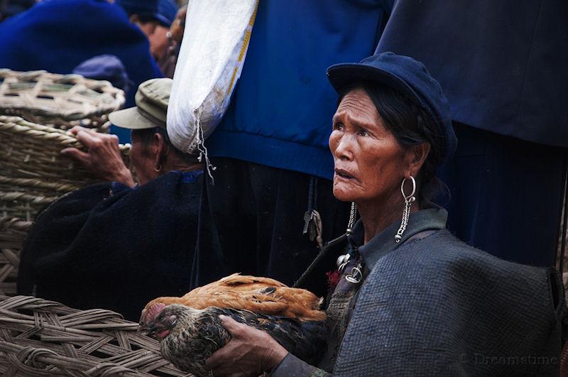 Yi people, people, chicken, market