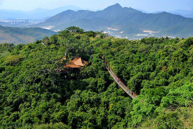 Hainan, forest, view, mountains