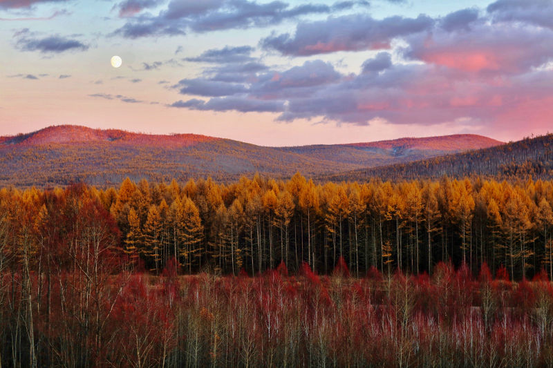 khingan, forest, mountains