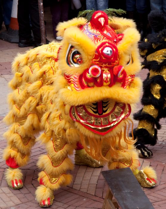 lion, dance, lion dance