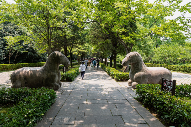 Nanjing, spirit way, sacred way, animals