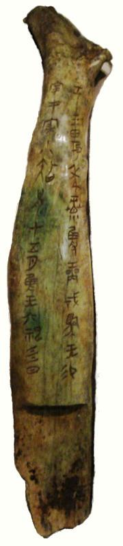 oracle bone,  shang dynasty, early writing