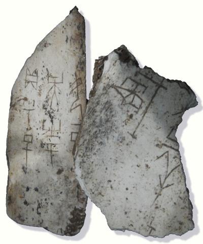 oracle bone, shang dynasty, early writing