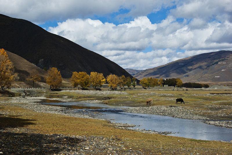 Qinghai, mountains