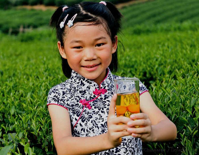 tea plantation, children