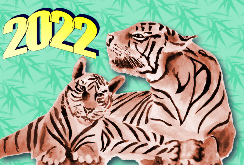 Tiger Year 2022