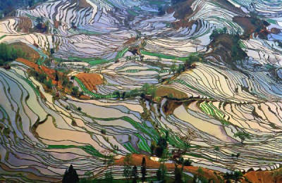 China's diverse geography