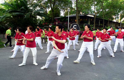 Tai Chi and Martial Arts 