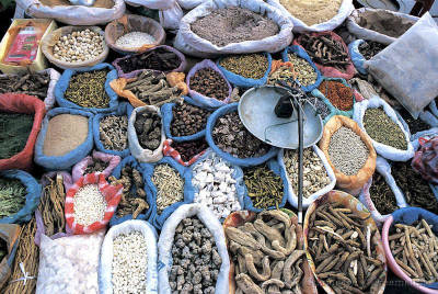 Traditional medicine in China